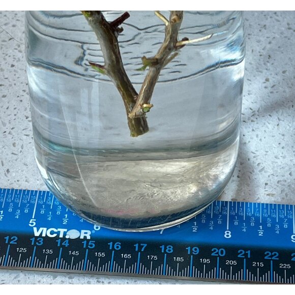 Glass Carafe Wine Water Juice Vase Twine & Bow Embossed w/ Love 8x3”D Wedding - Picture 10 of 10